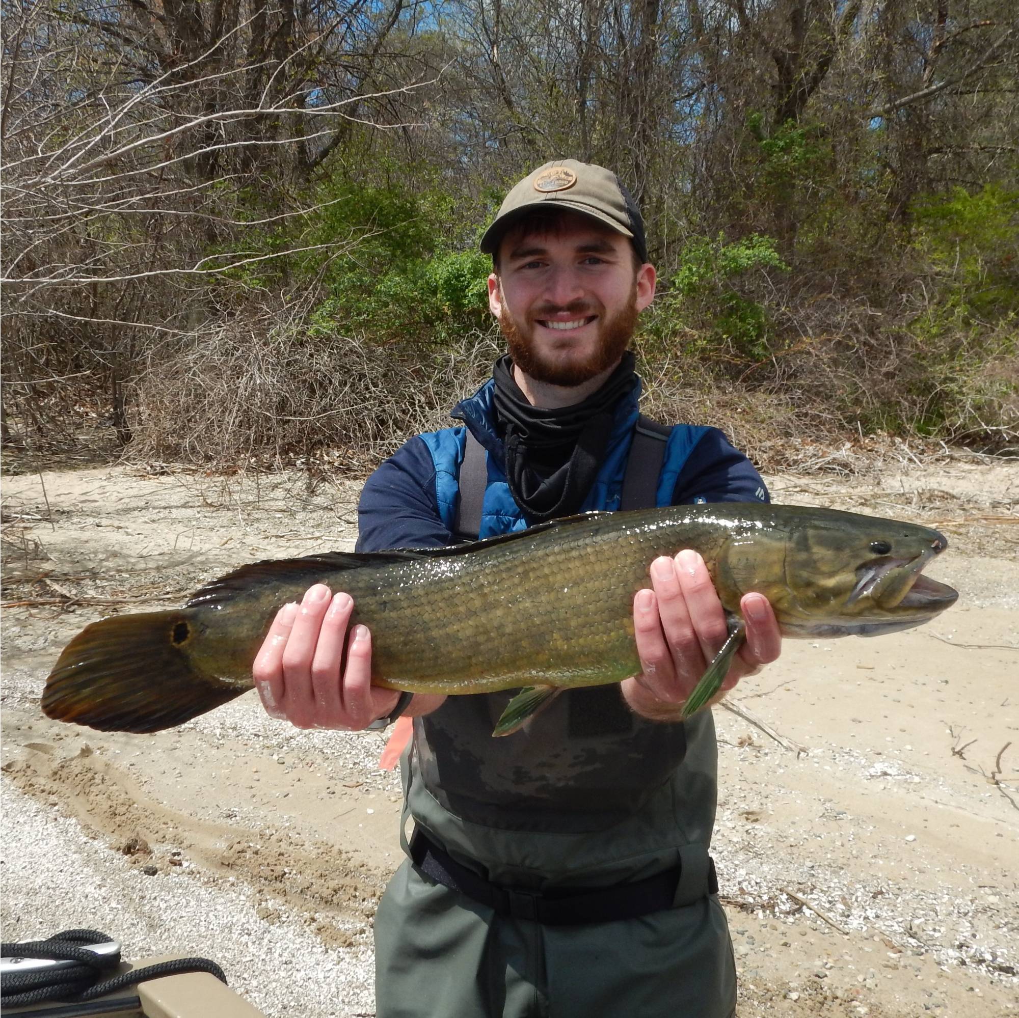 A student holds up a bowfin (fish) that was captured in a fyke net.
